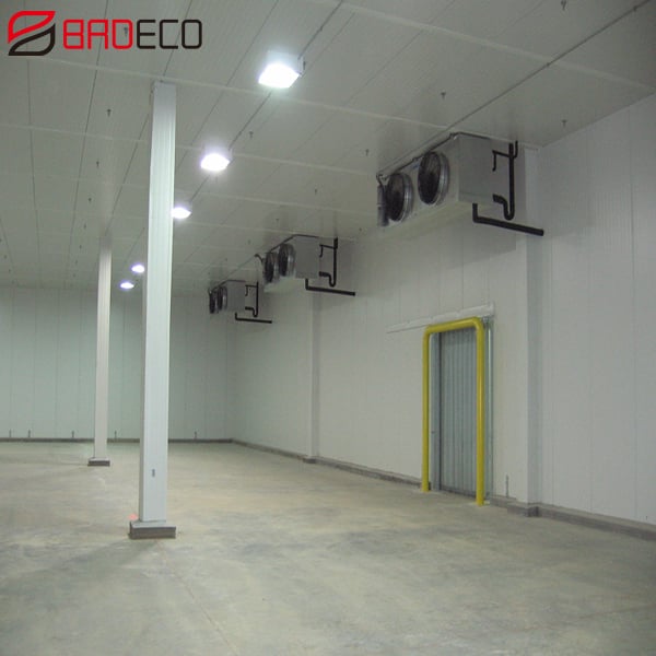 Cold Storage 1000 ton Large Cold Room