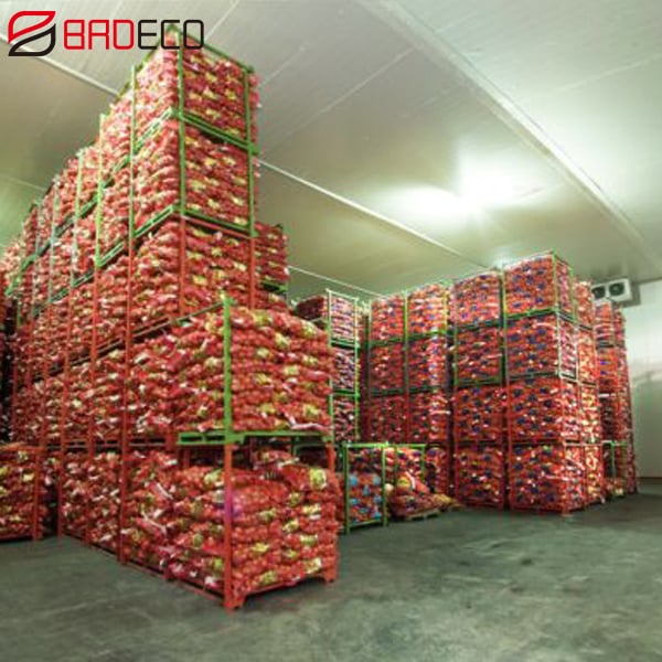 Large Cold Storage For Iarge Food Production Centers