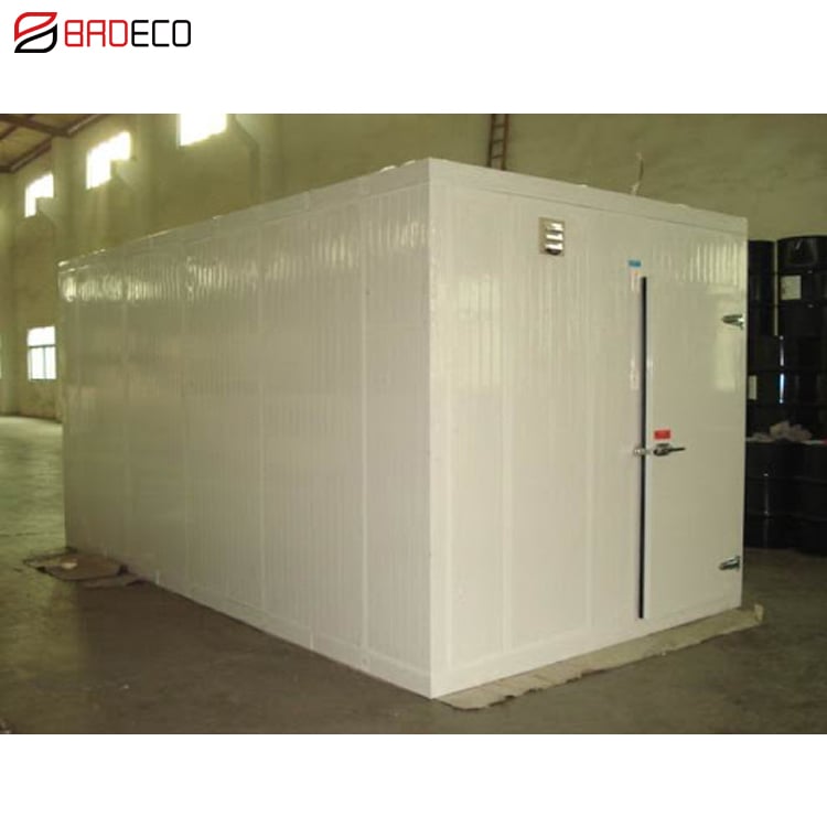 Freezer Walk In Room Mobile Cold Storage