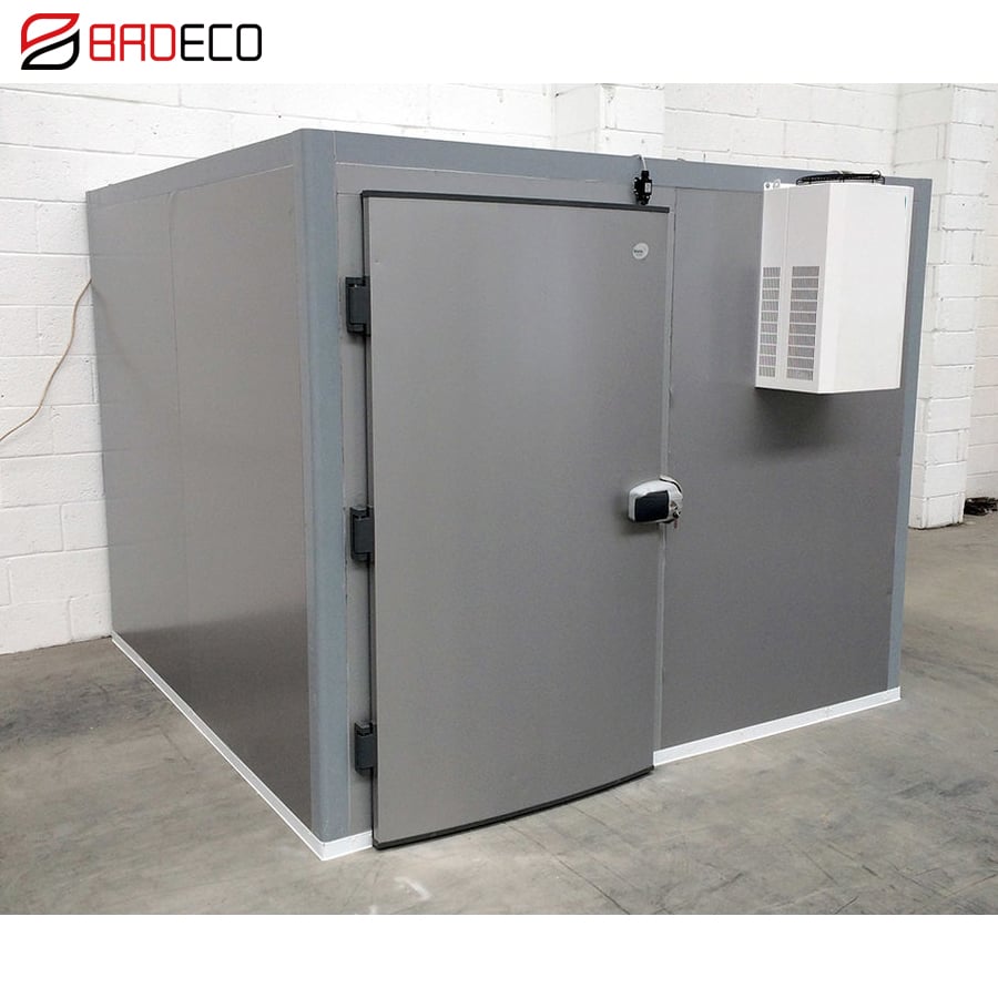 High Quality Low Price Cheap Frozen Cold Room