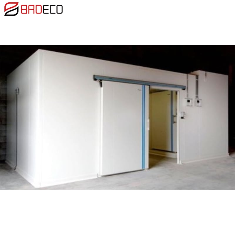 High Quality Low Price Cheap Frozen Cold Room