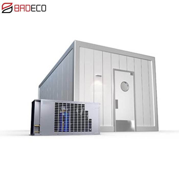 Bottom Price High Quality Frozen Cold Room