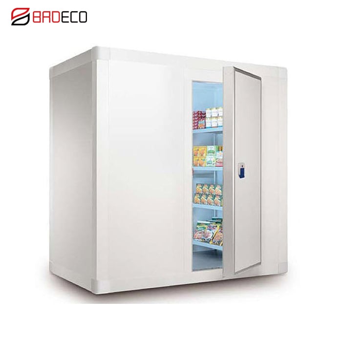 Bottom Price High Quality Frozen Cold Room