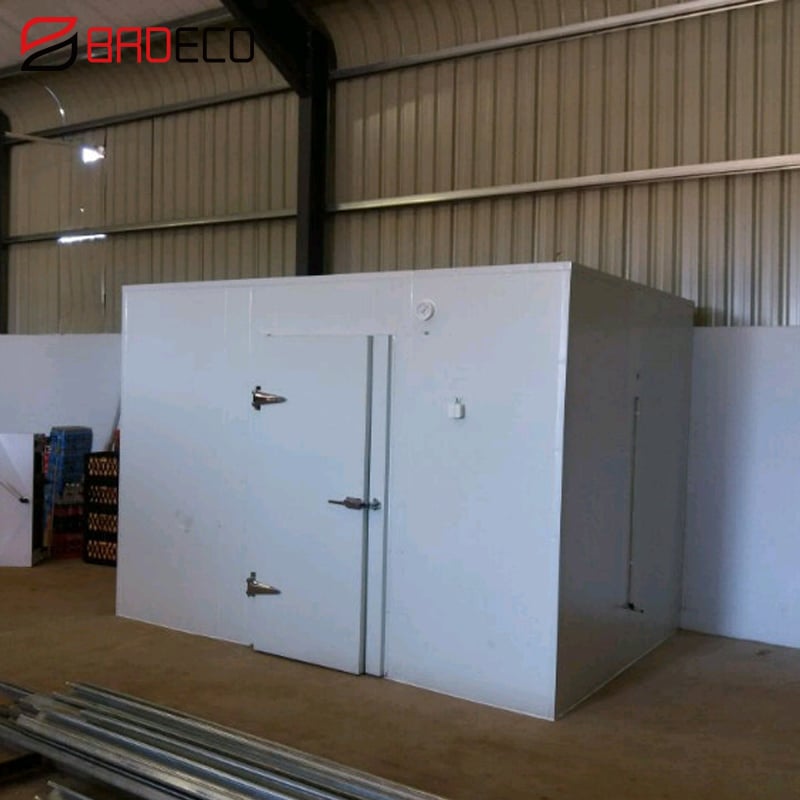 New Design Cold Room Equipment Storage/cold Room Freezer