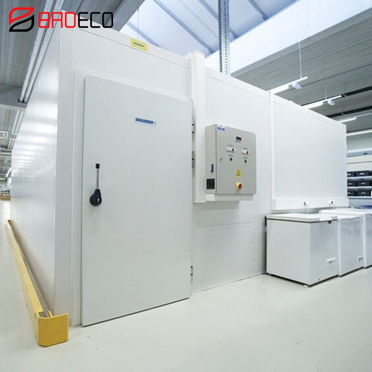 New Design Cold Room Equipment Storage/cold Room Freezer