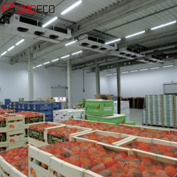 Cool Room Industrial Cooling Room Cold Storage Room