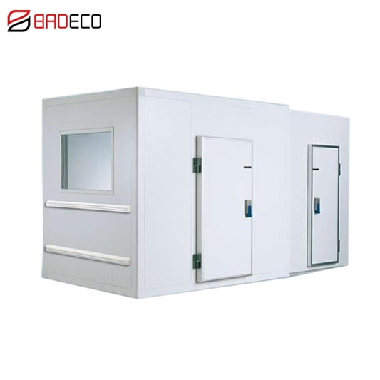 High Quality Low Price Cheap Frozen Cold Room