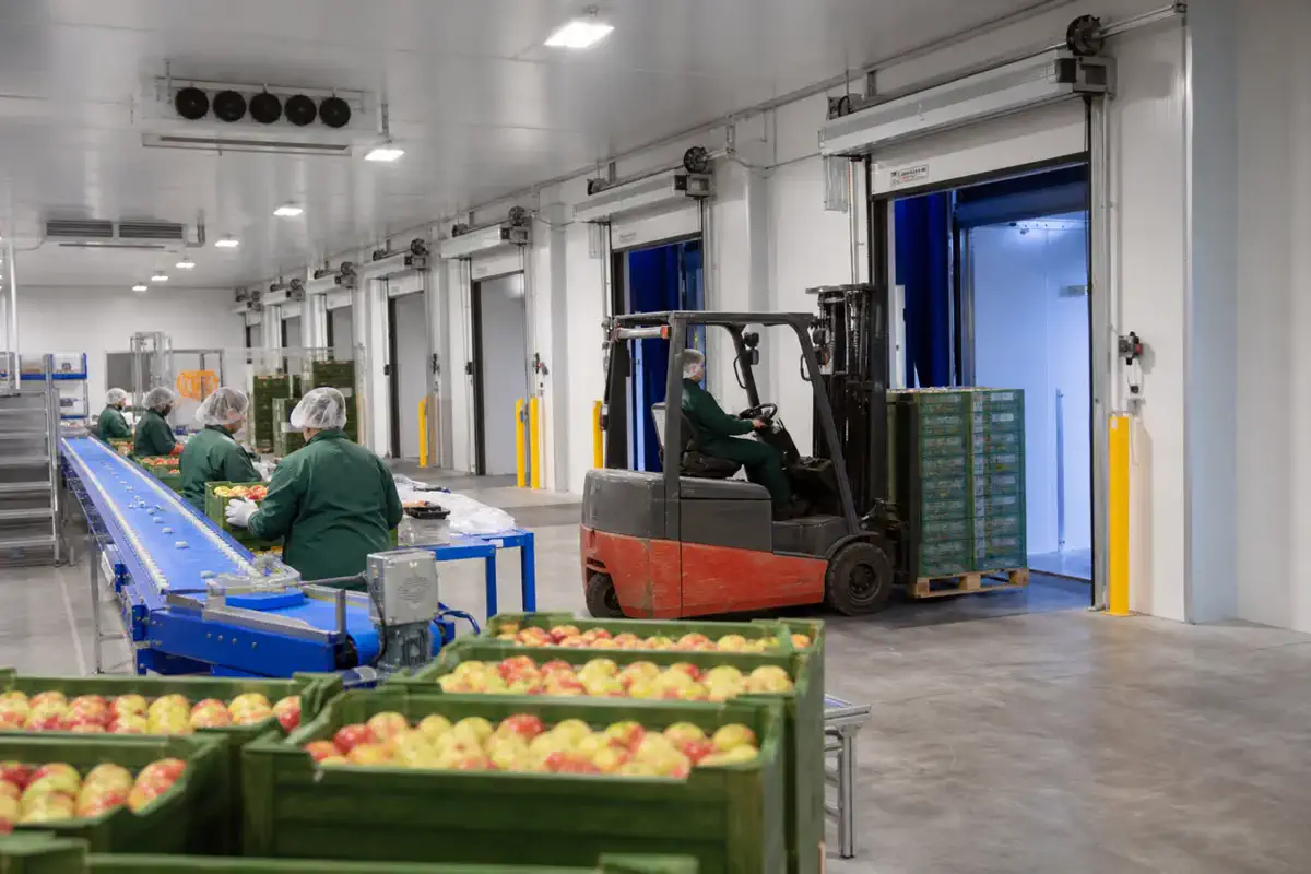 Азық-түлік өңдеу — Dairy — таза бөлме 27 | BRD Kazakhstan