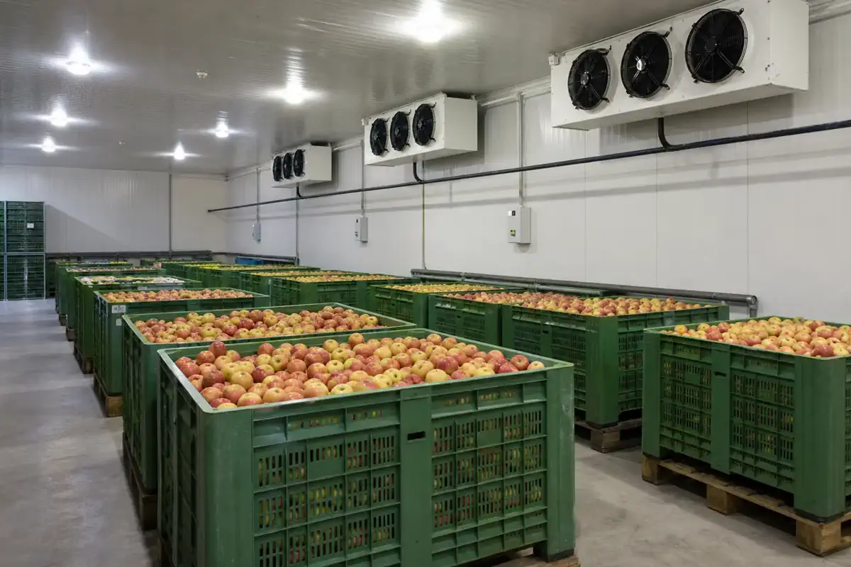 Жеміс-көкөніс сақтау — Vegetables — панельді біріктіру түйіні 03 | BRD Kazakhstan